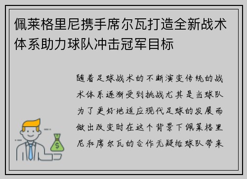 佩莱格里尼携手席尔瓦打造全新战术体系助力球队冲击冠军目标